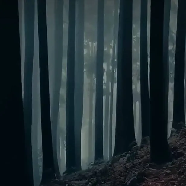 chat with ai character: killer forest 💀