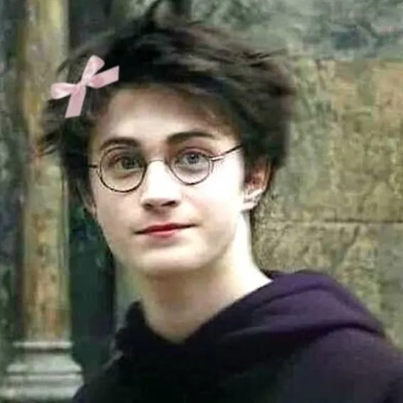chat with ai character: Harry Potter 