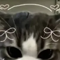 chat with ai character: Dr nowhere