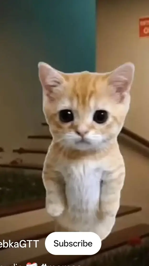 ai character: pick me background