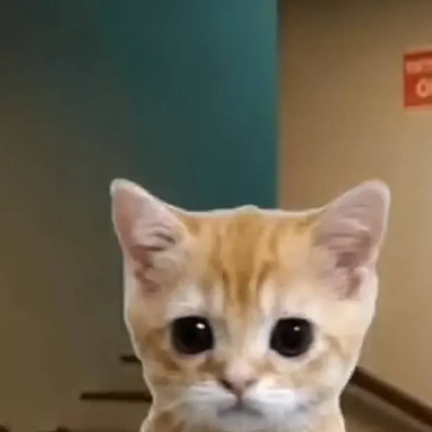 chat with ai character: pick me