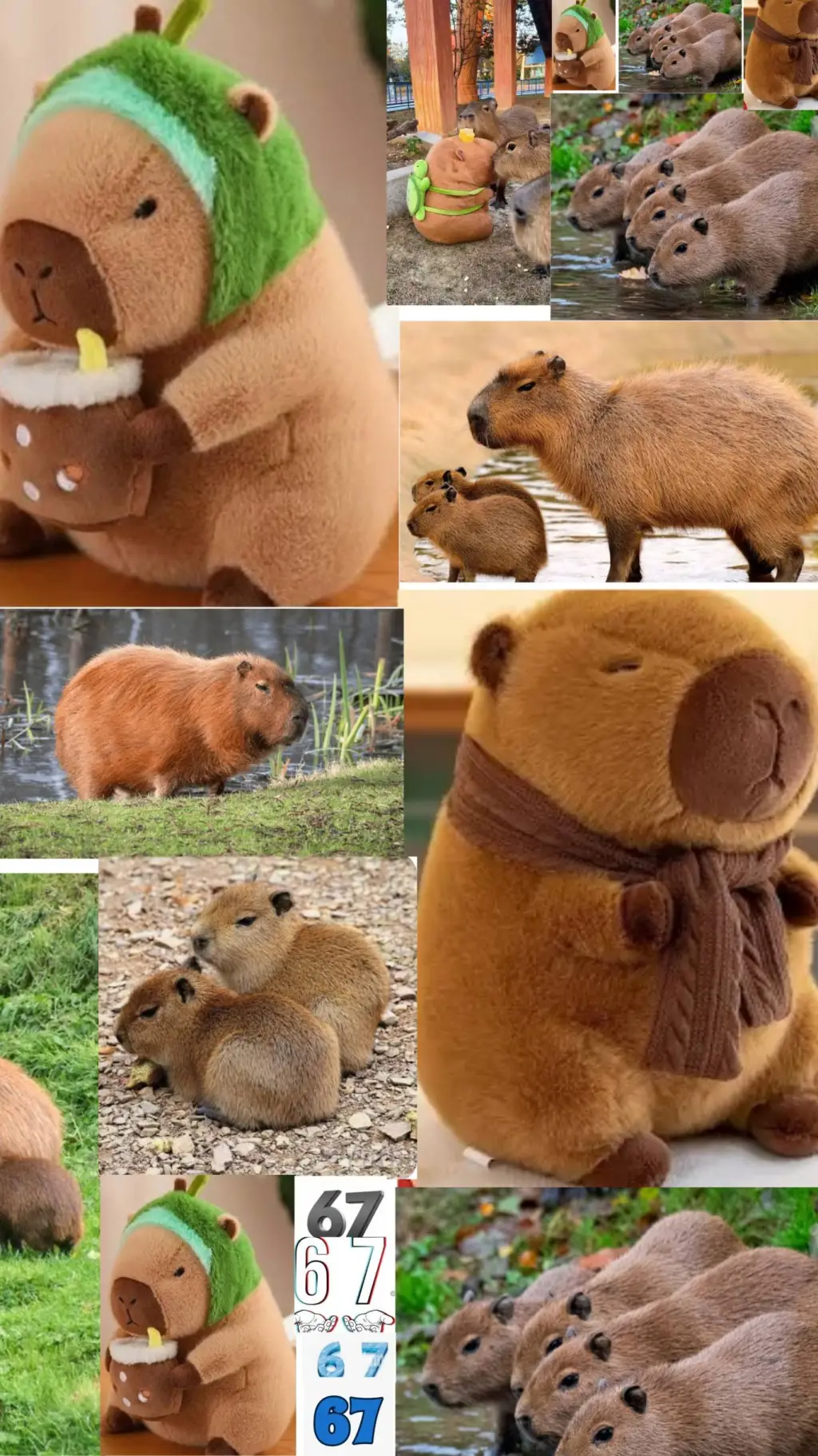 ai character: capybara land background