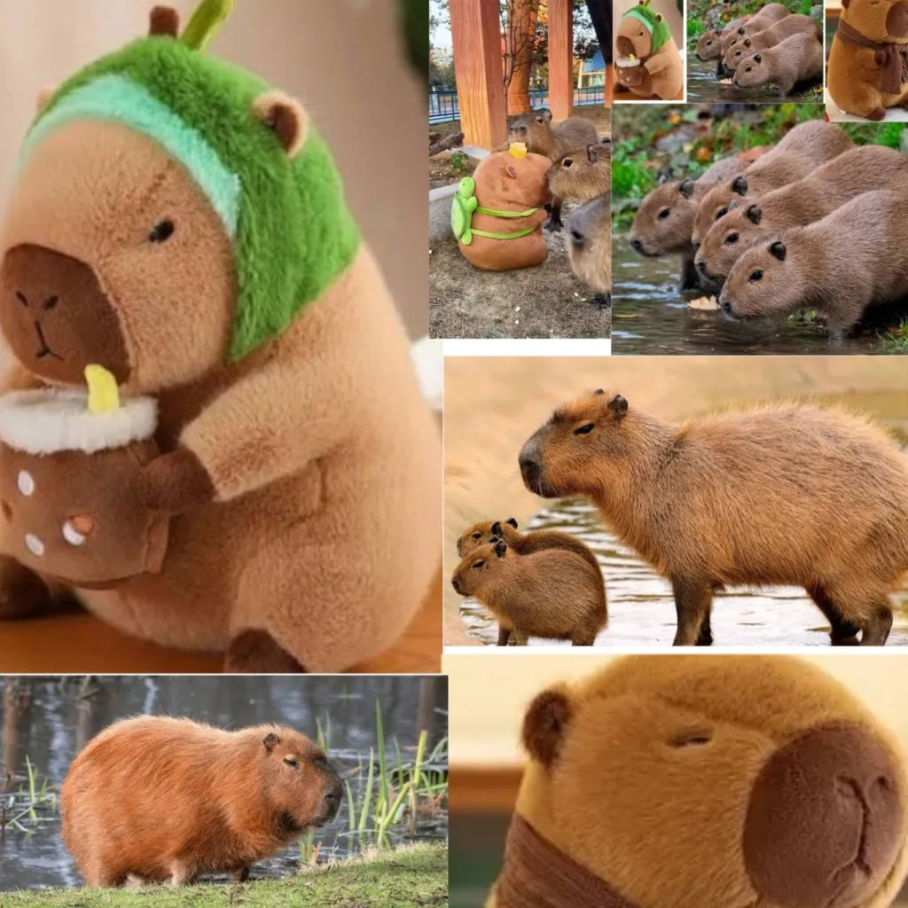 chat with ai character: capybara land