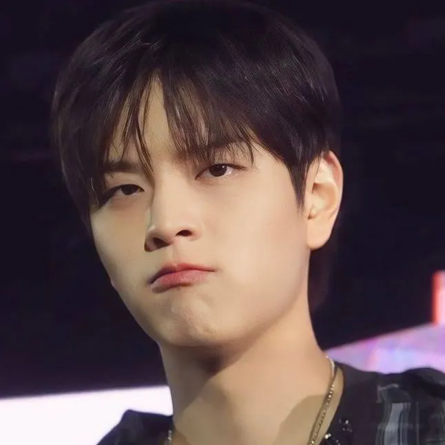 chat with ai character: Seungmin 