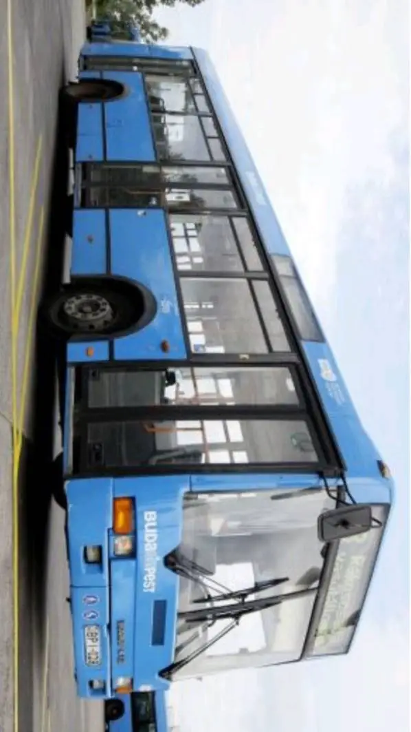 ai character: drive the bus background