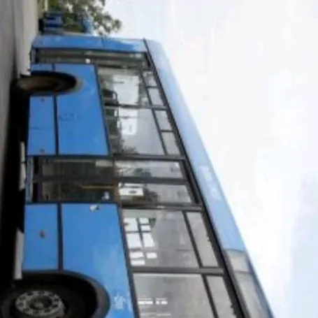 chat with ai character: drive the bus