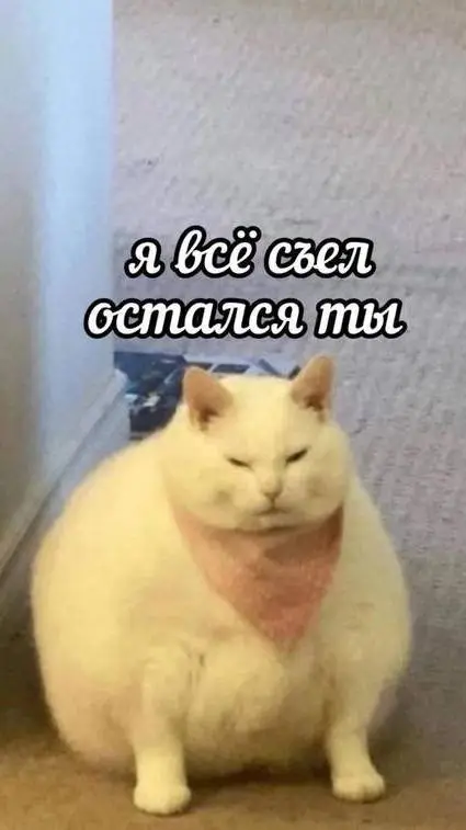 ai character: Кот background