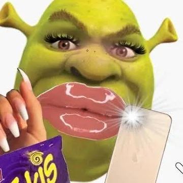 chat with ai character: Shrek