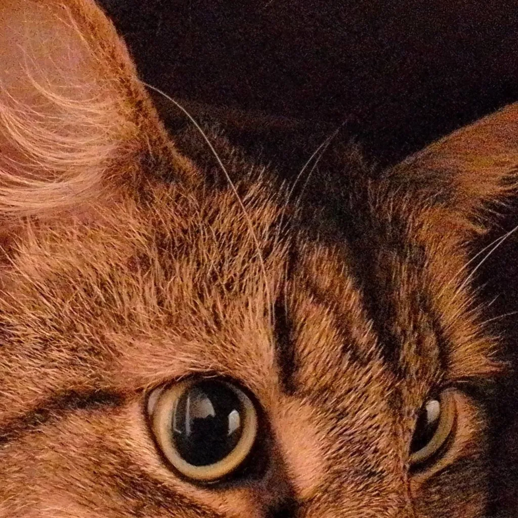 chat with ai character: Fellix