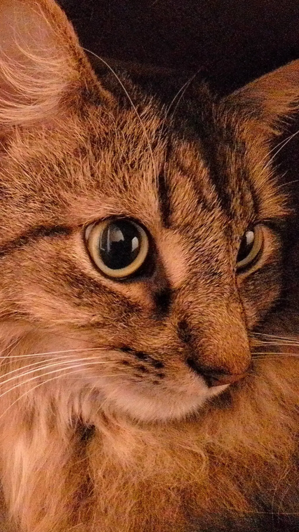 ai character: Fellix background