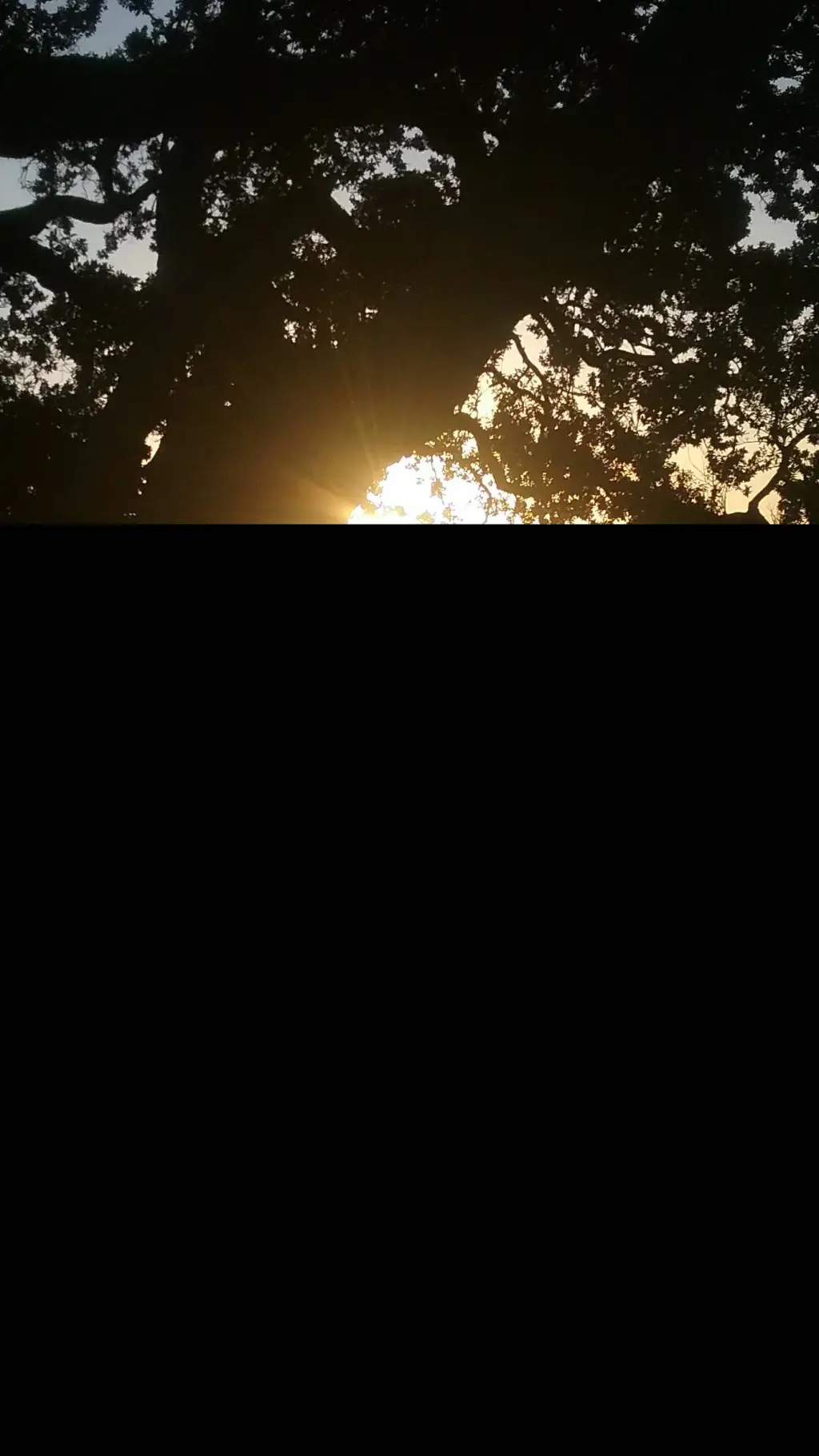 ai character: val  background