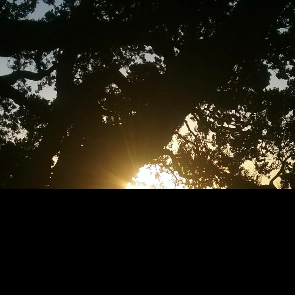 chat with ai character: val 