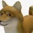 chat with ai character: doge