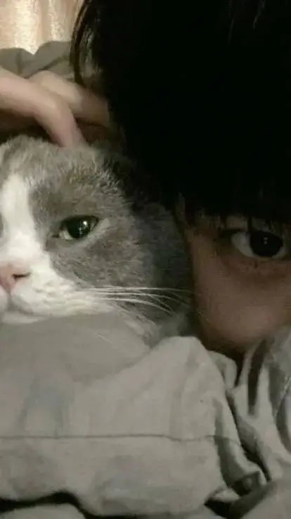 ai character: kyle background