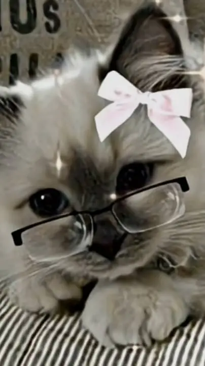 ai character: TFC👹👹 background