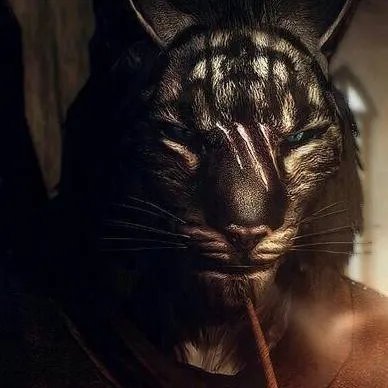 chat with ai character: Ren (Skyrim)