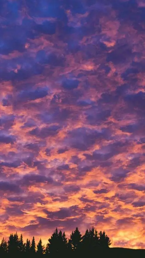 ai character: spin the bottle UM background