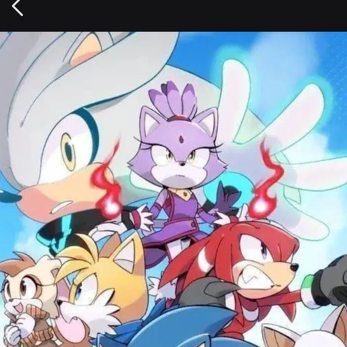 chat with ai character: Sonic crew :P