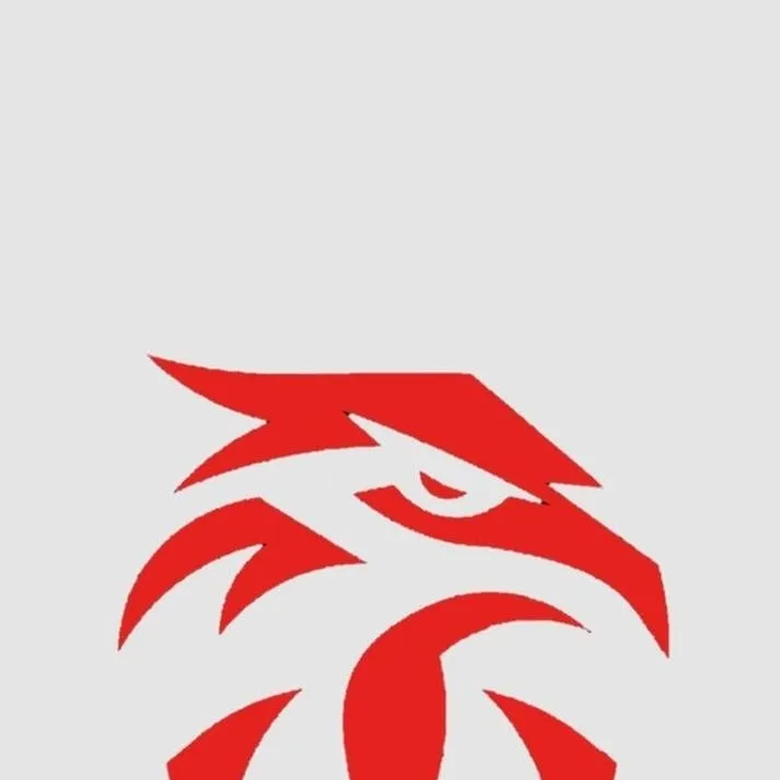 chat with ai character: The RedHawks