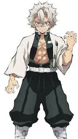 ai character: sanemi  background