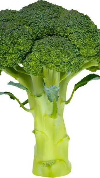 ai character: Broccoli  background