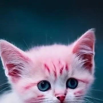 chat with ai character: Pink Kitten 