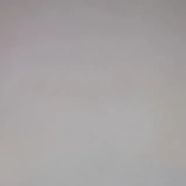 chat with ai character: Pizzaburger 