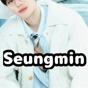 chat with ai character: Seungmin 
