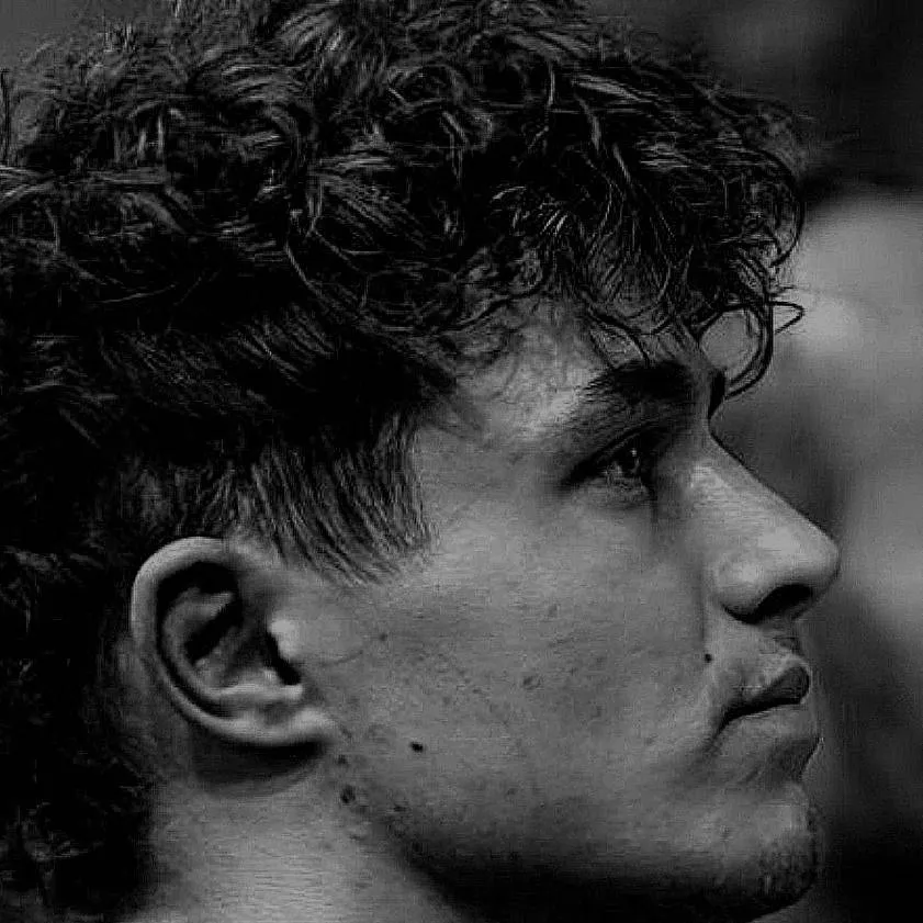chat with ai character: Lando norris 