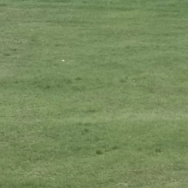 chat with ai character: Talkief1T6WW