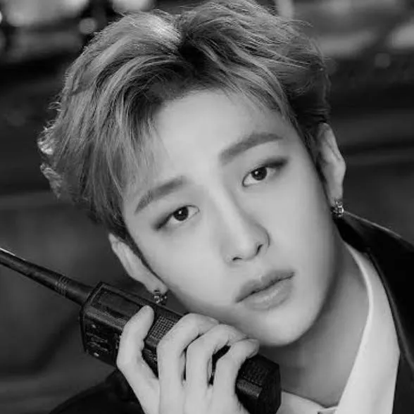 chat with ai character: Bang Chan