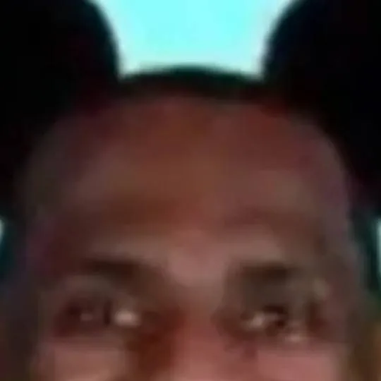 chat with ai character: Lebron mouse.