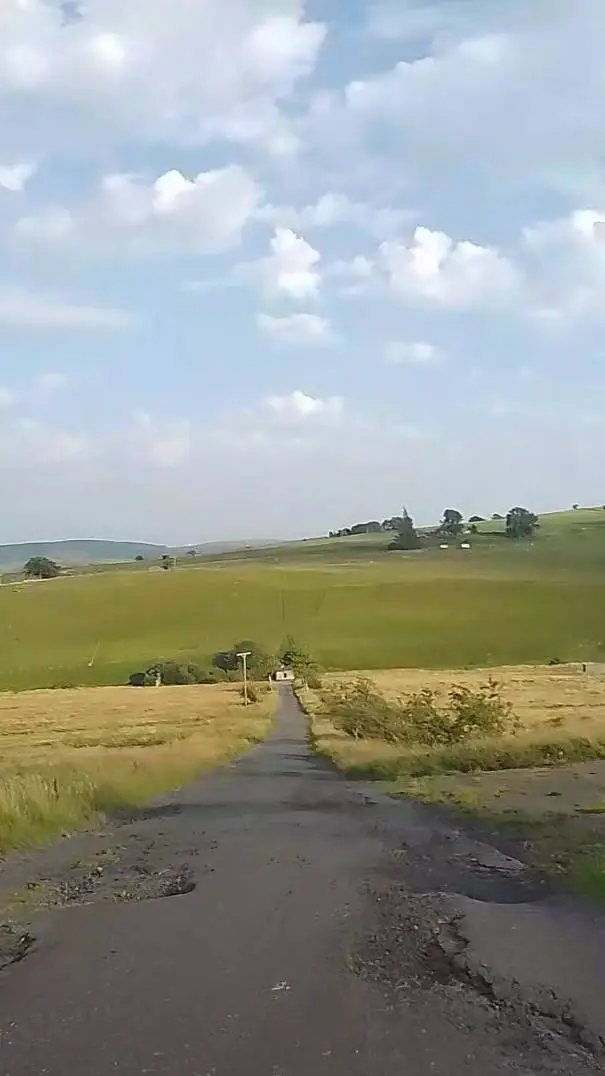 ai character: Requests 🤍 background