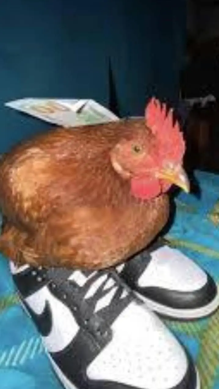 ai character: Pollito Premium background