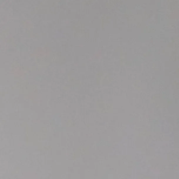 chat with ai character: Sousa 