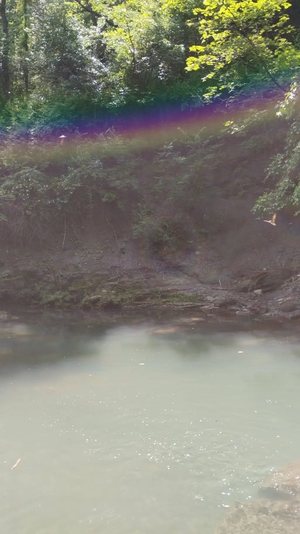 ai character: Firedust 🔥✨ background