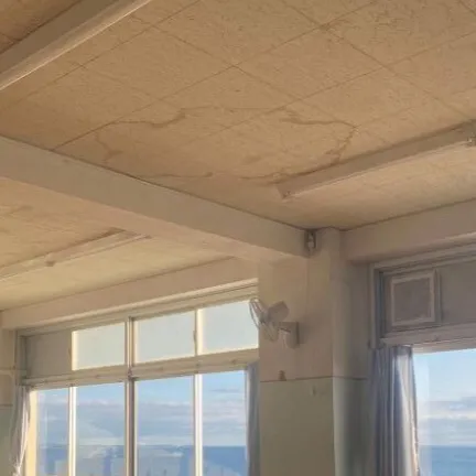 chat with ai character: Class