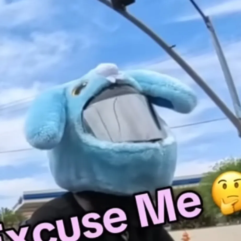 chat with ai character: Cookie