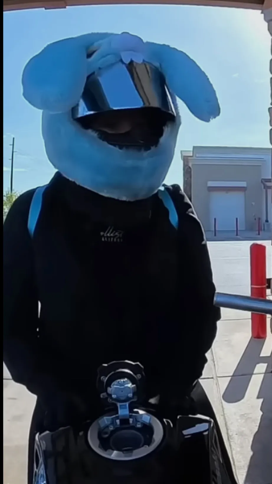 ai character: Avi background