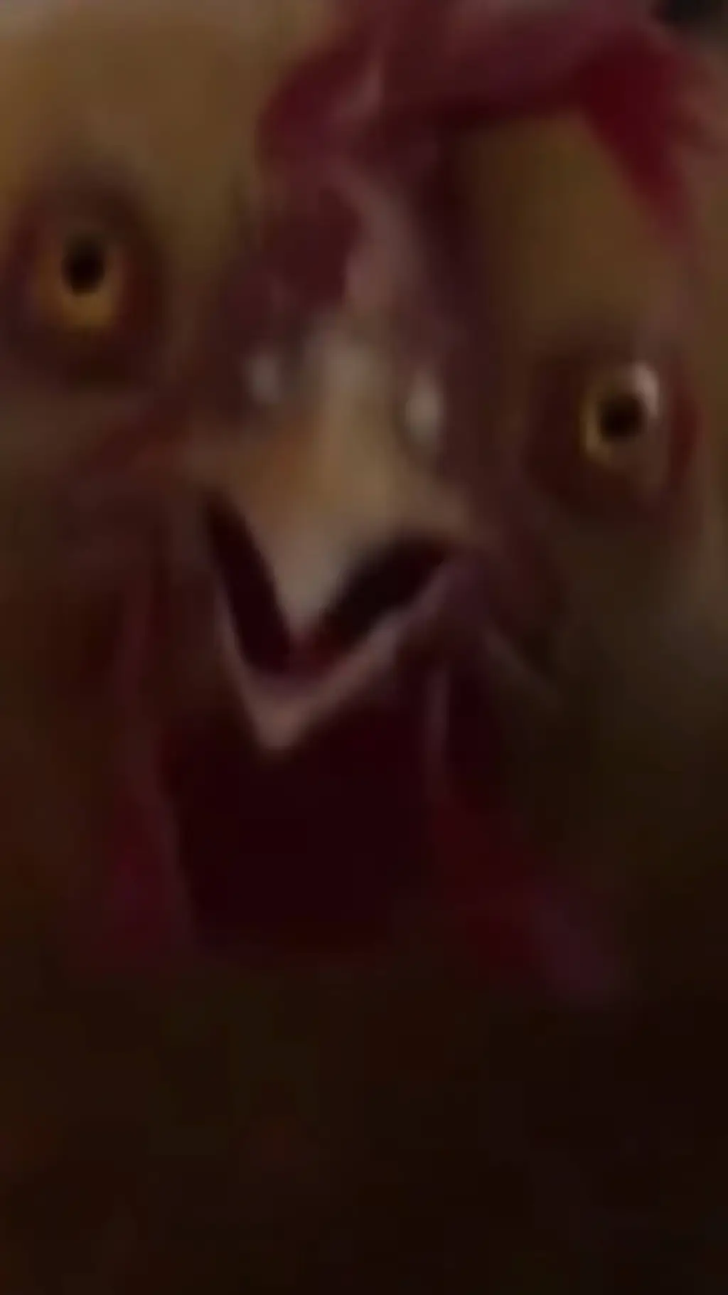 Talkie AI - Chat with Matilda sparks