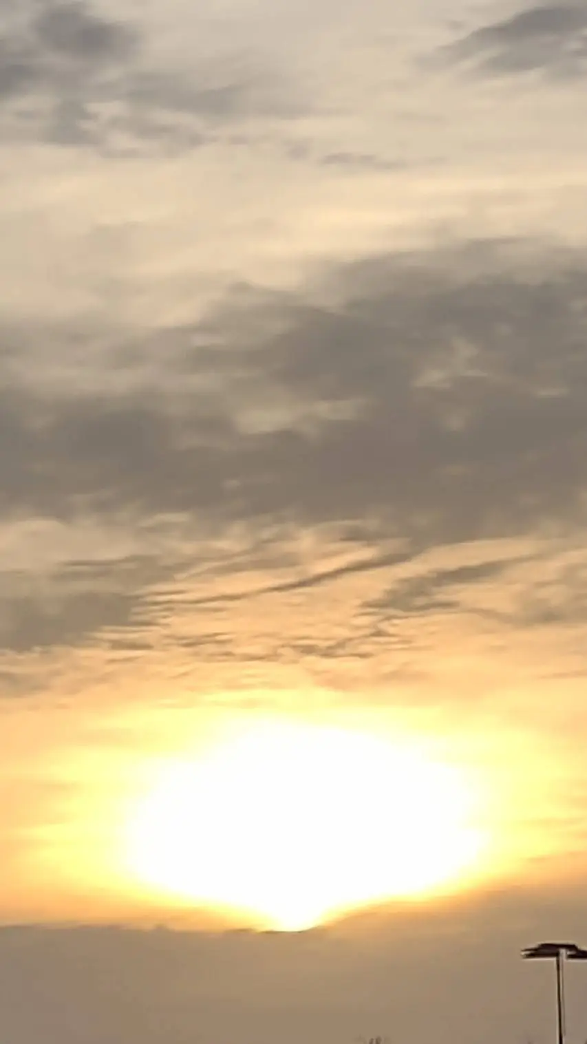 ai character: hyunlix background