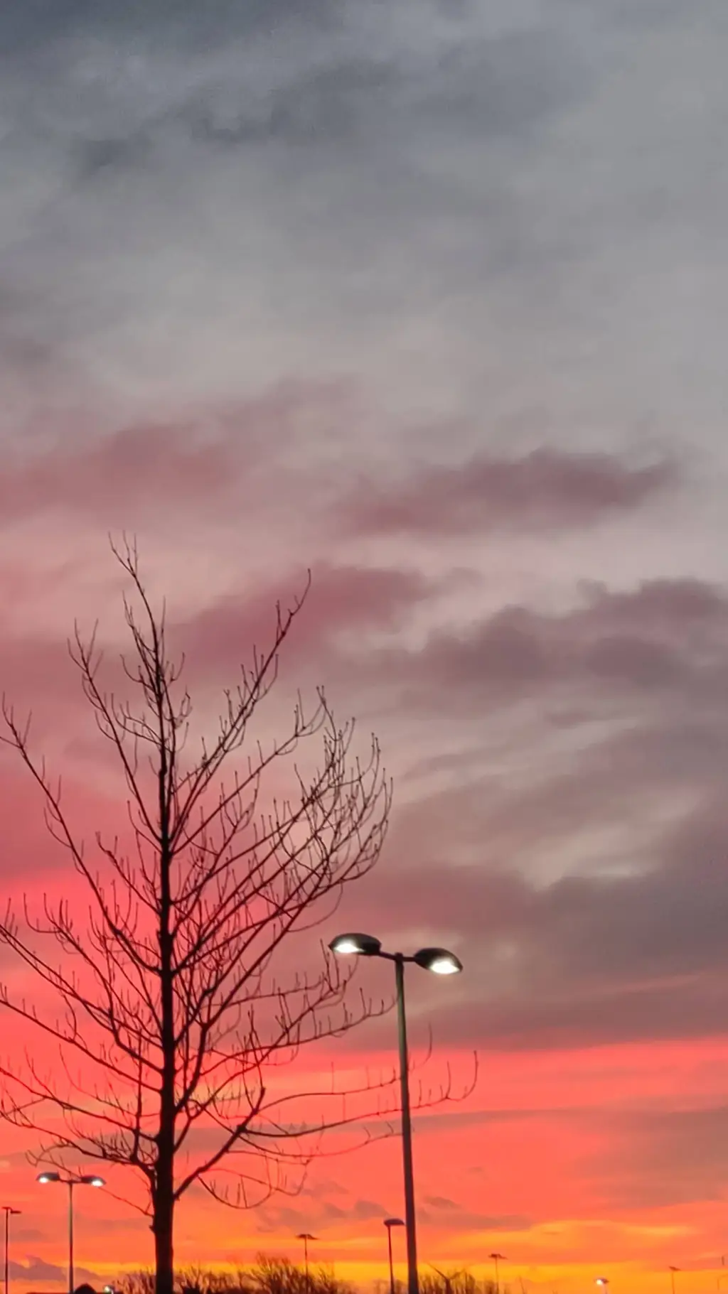 ai character: David background