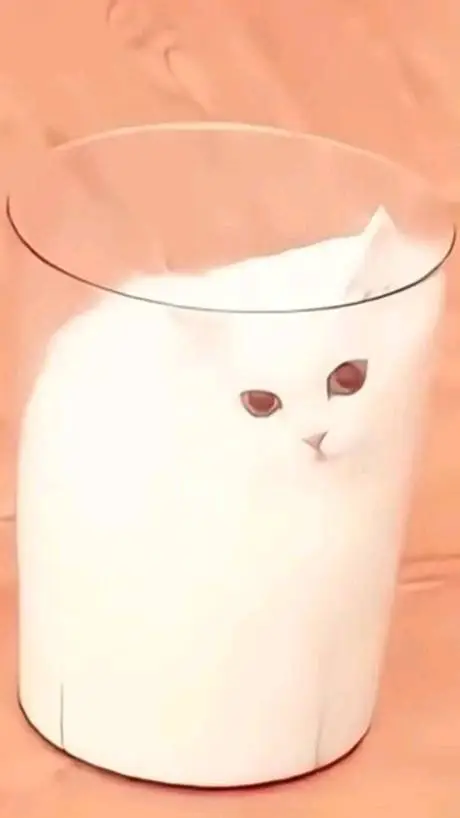ai character: cat in a glass cup background