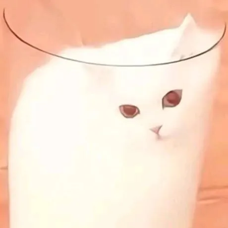 chat with ai character: cat in a glass cup