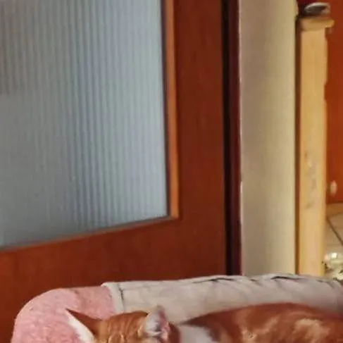 chat with ai character: Big Harry 