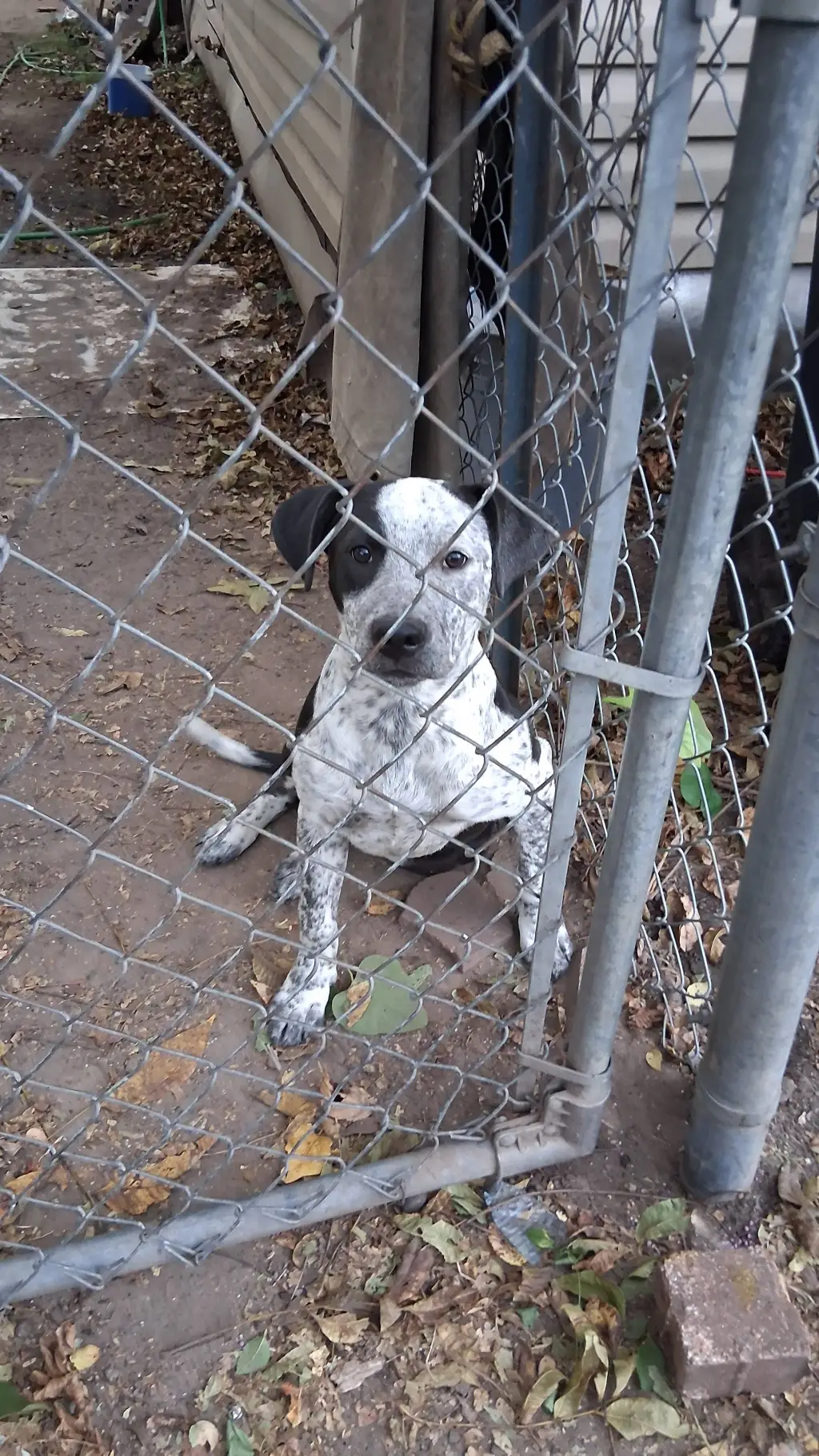 ai character: Legacy background