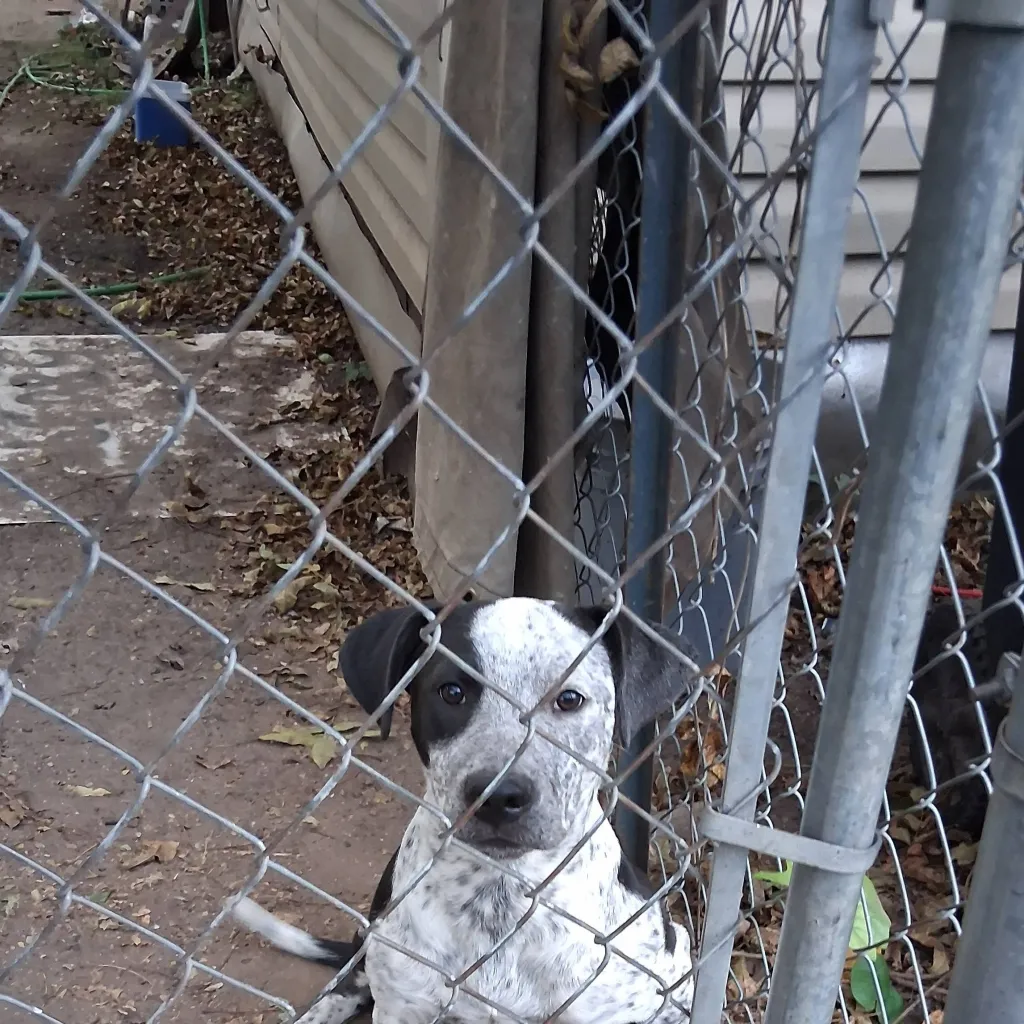 chat with ai character: Legacy