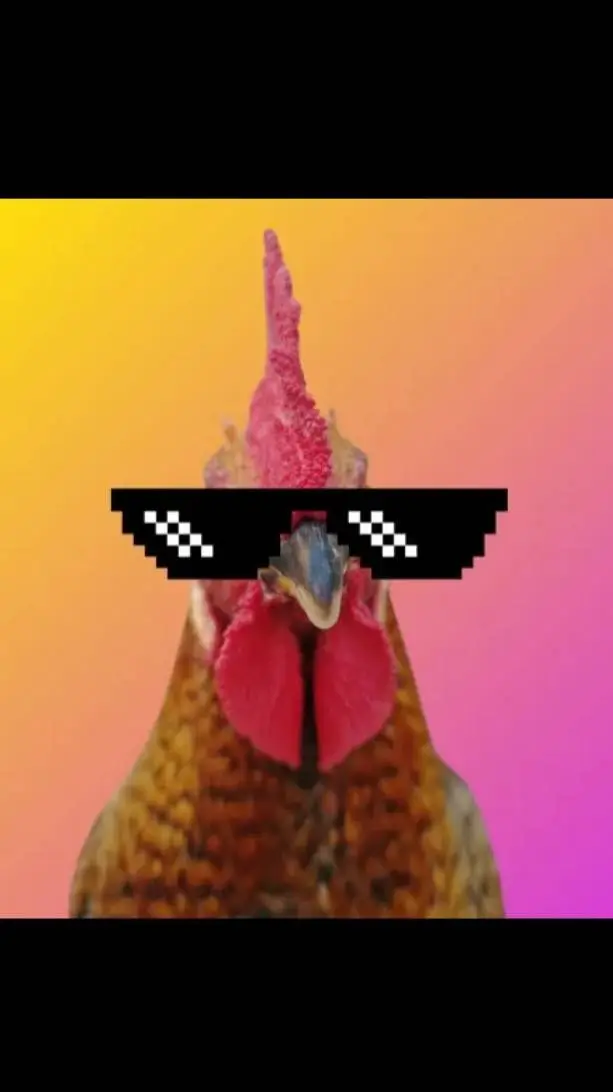 Talkie AI - Chat with ♡ chuchu ♡