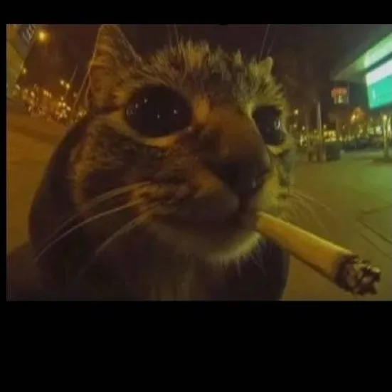 chat with ai character: PURØ