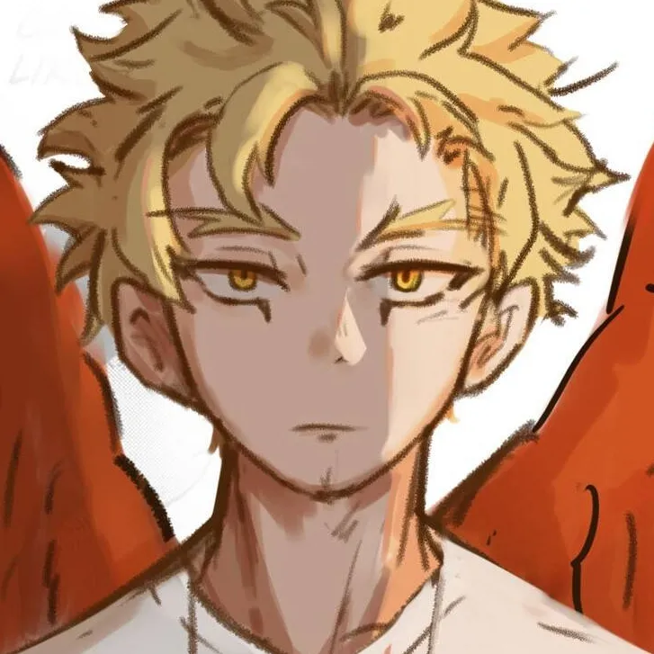 chat with ai character: Hawks 